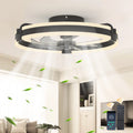 Siittoo 20" 6-Speed LED Dimmable Reversible Modern Caged Ceiling Fan With Light And Remote Control