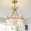Siittoo 22.64'' Crystal Caged Chandelier Ceiling Fan With Light Kit And Remote Control