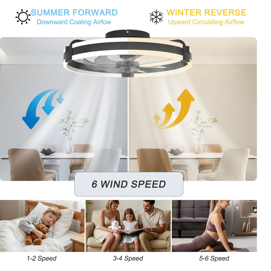 Siittoo 20" 6-Speed LED Dimmable Reversible Modern Caged Ceiling Fan With Light And Remote Control