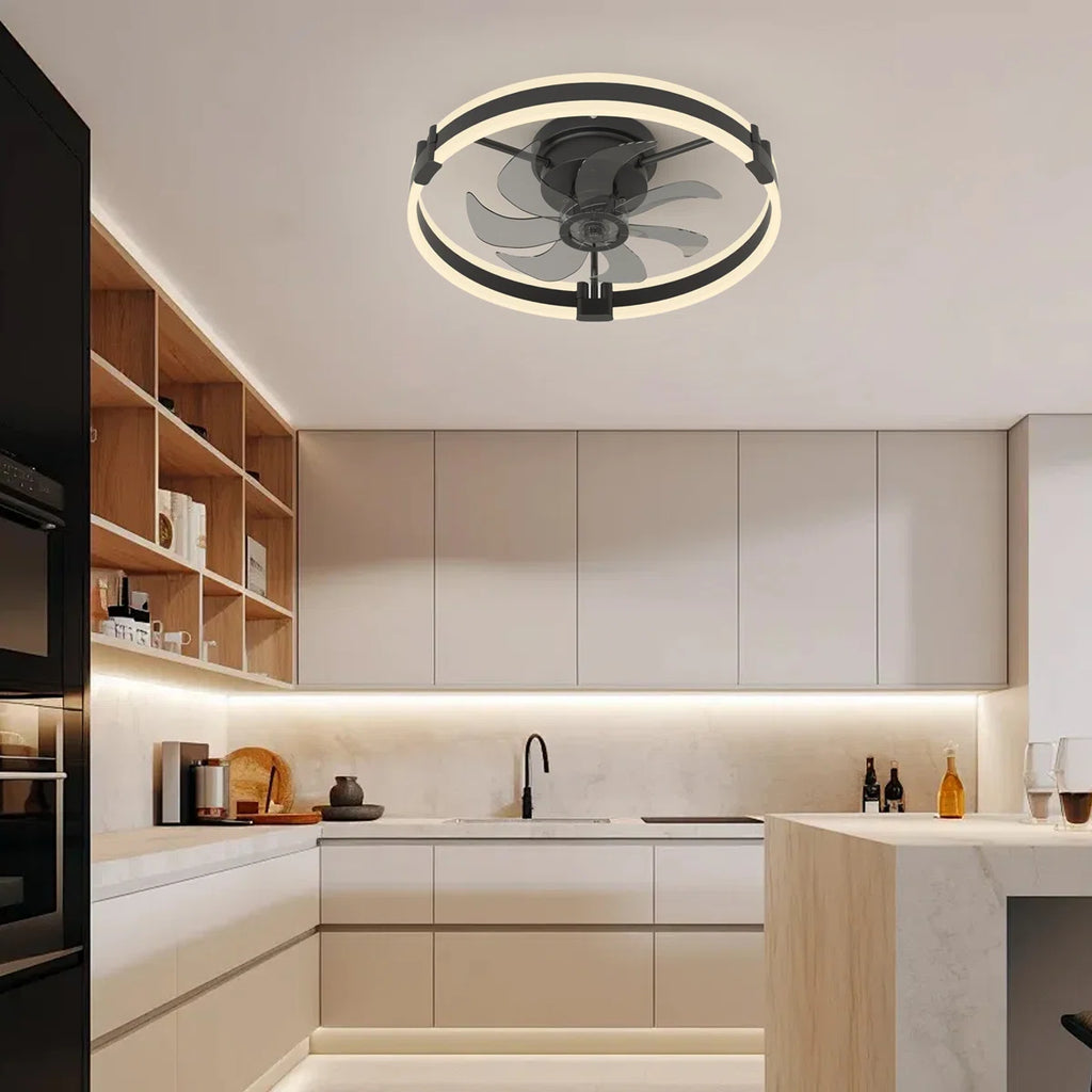 Siittoo 20" 6-Speed LED Dimmable Reversible Modern Caged Ceiling Fan With Light And Remote Control