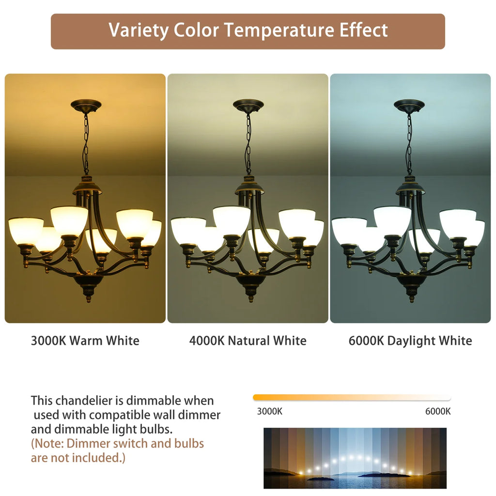 Siittoo 6 - Light Dimmable Classic / Traditional Chandelier